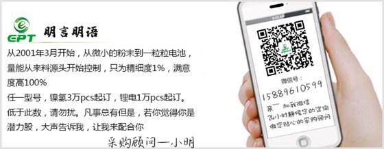 磷酸鐵鋰電池廠(chǎng)家