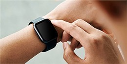 EPT電池品質(zhì)高，鎳氫和鋰電都表現(xiàn)不俗